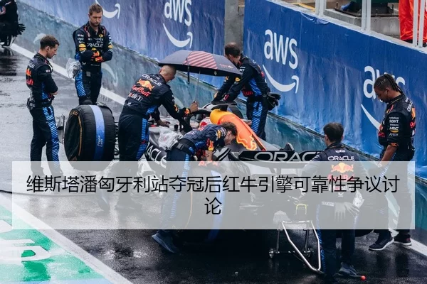维斯塔潘匈牙利站夺冠后红牛引擎可靠性争议讨论